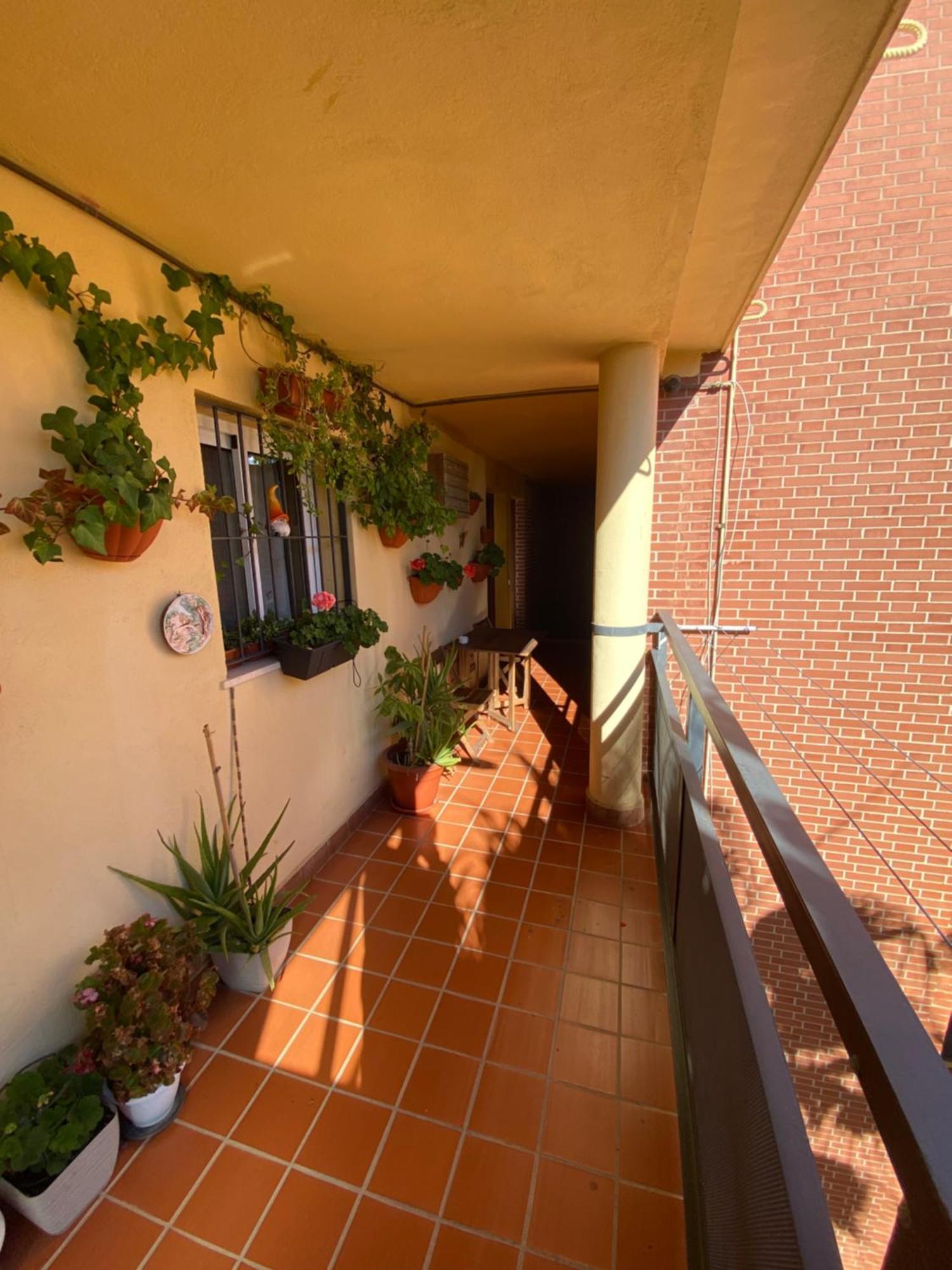 Apartamento Arroyo De La Miel Costa Del Sol Lejlighed Benalmádena Eksteriør billede